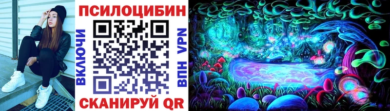 закладка  Мензелинск  Галлюциногенные грибы мухоморы 
